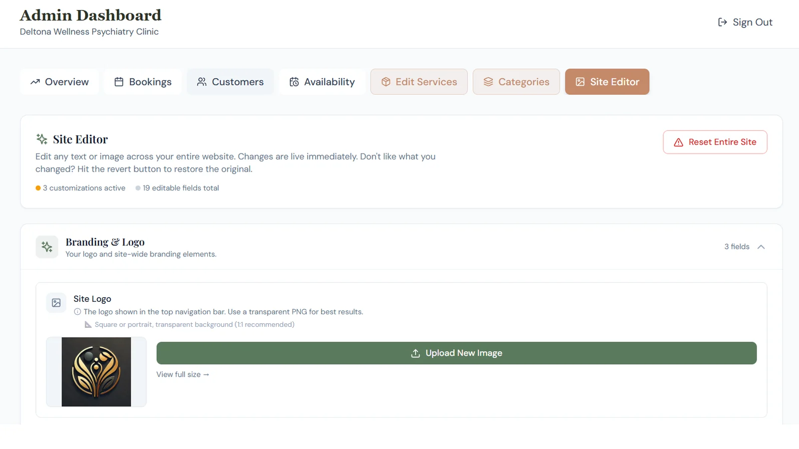 The site editor for updating the logo, text, and images on the live website