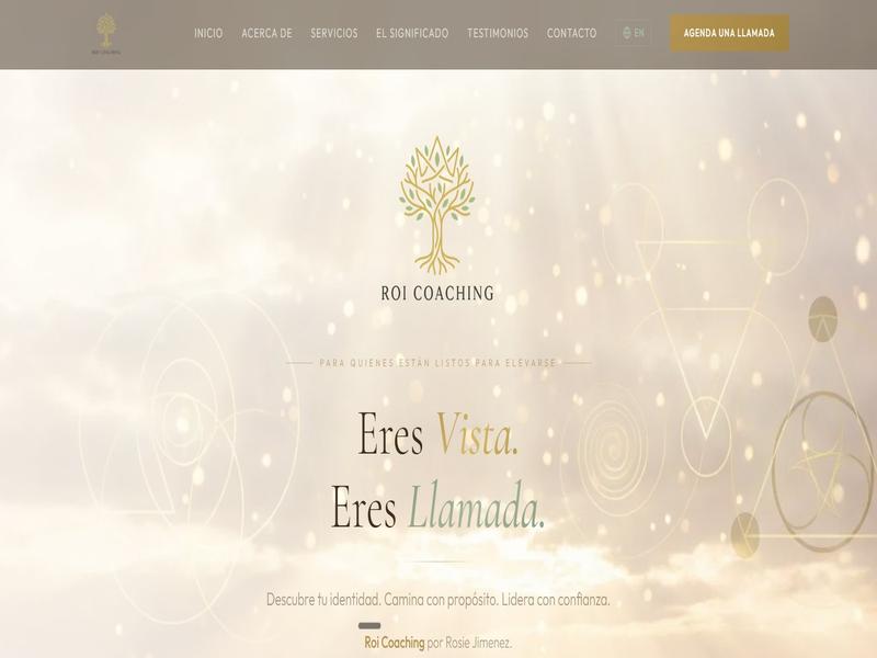ROI Coaching website designed by Finesse Media